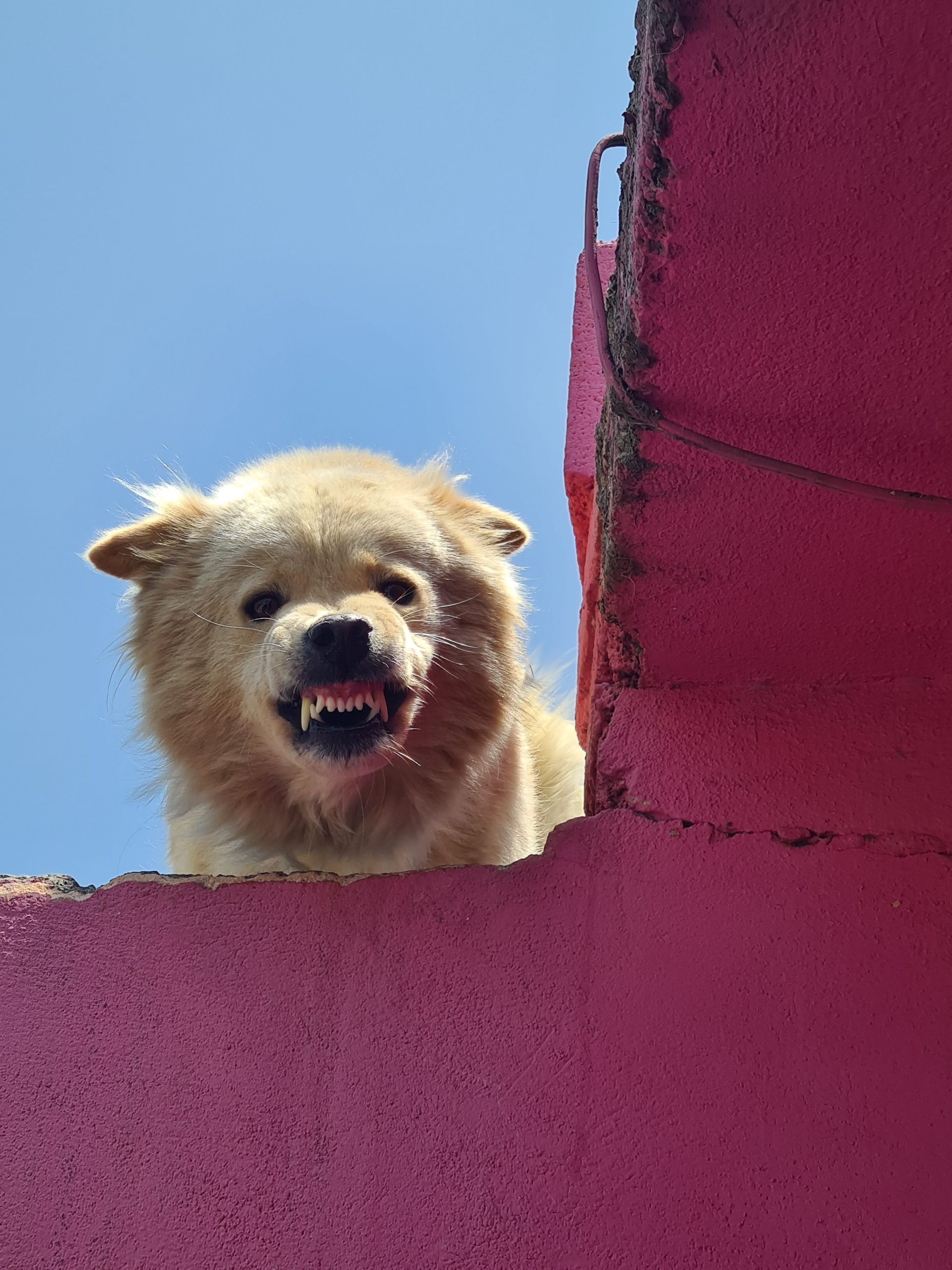 pexels-ooooo-8994367